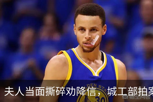 夫人当面撕碎劝降信，城工部拍案叫绝：这一撕，救了十万人