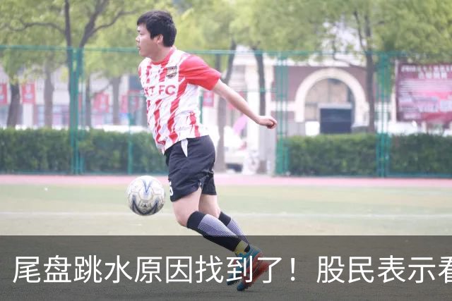 尾盘跳水原因找到了！股民表示看不懂，三季报出炉机构还是重仓科技
