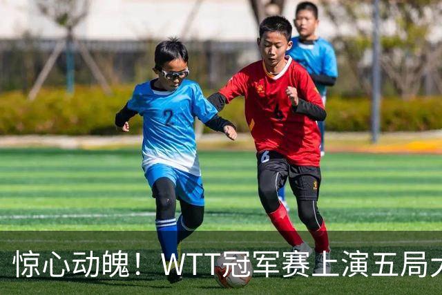 惊心动魄！WTT冠军赛上演五局大战，世界第一3 2险胜世界亚军，邱党崩盘原因揭晓