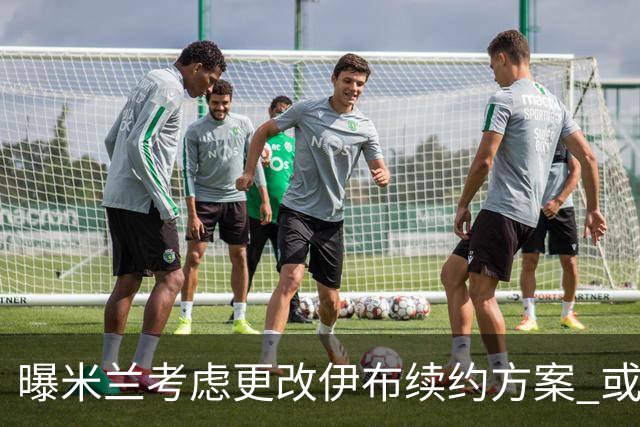 曝米兰考虑更改伊布续约方案 或改成按场计酬