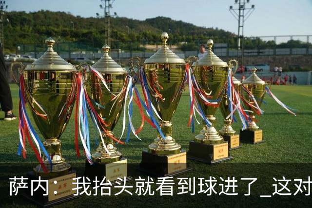 萨内：我抬头就看到球进了 这对特狮来说很不幸