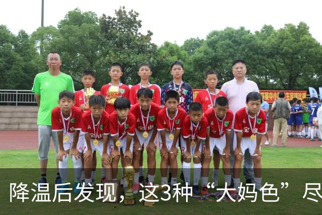 降温后发现，这3种“大妈色”尽量别穿了，显老土气，油腻感十足