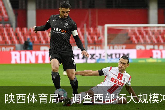陕西体育局：调查西部杯大规模冲突 依规严肃处理